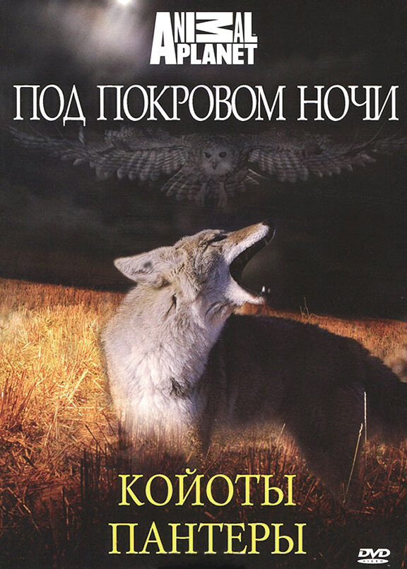 Под покровом ночи (2009)