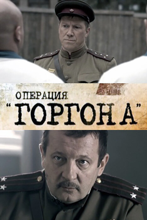 Операция «Горгона» (2011)